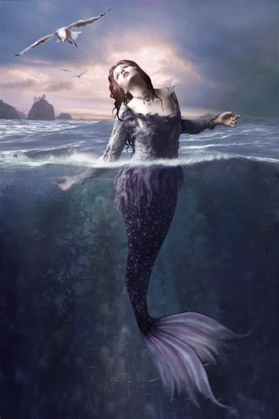 1700966014294.webp