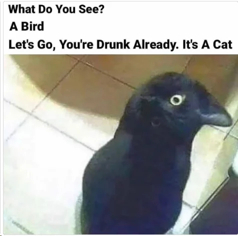 1701259953475.webp