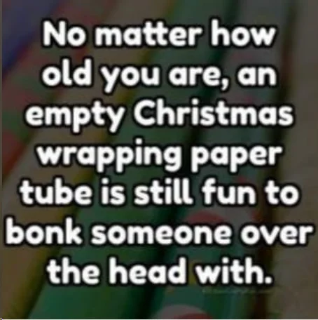 1702143589475.webp