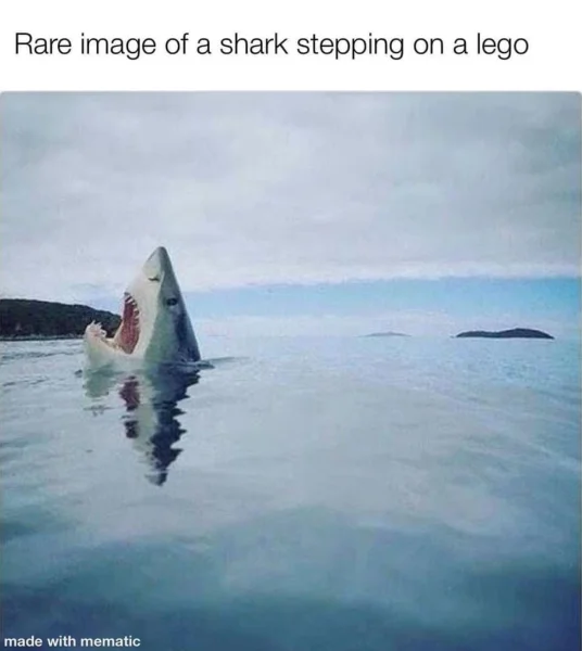 1702376171567.webp