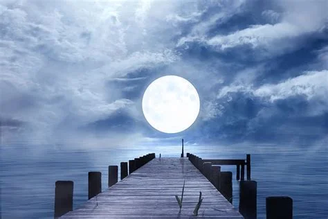1702695556387.webp