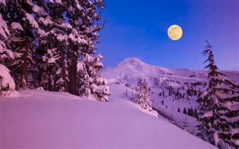 1702865389576.webp
