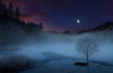 1703559338523.webp