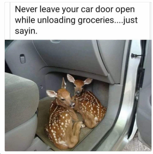 1703762357217.png
