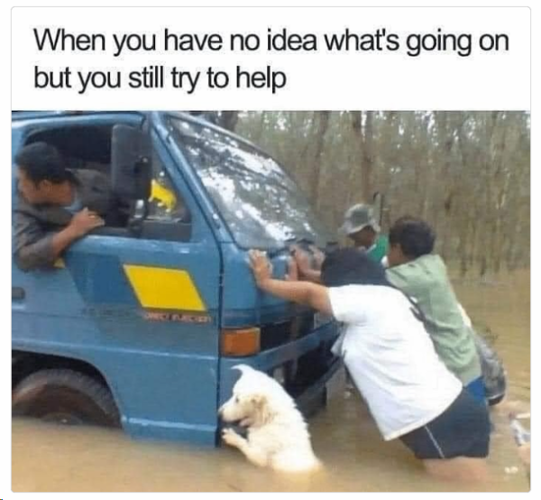 1703849517692.png