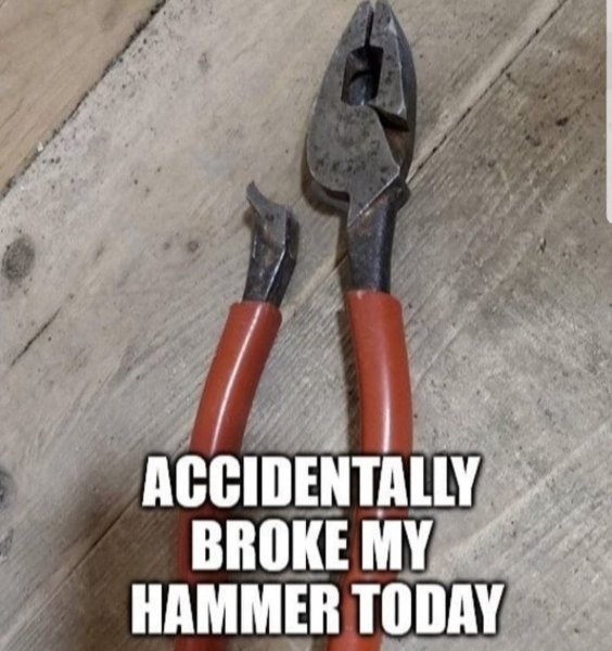 1703904704467.jpeg