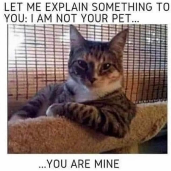 1703939540749.png