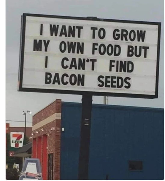 1703939694729.png