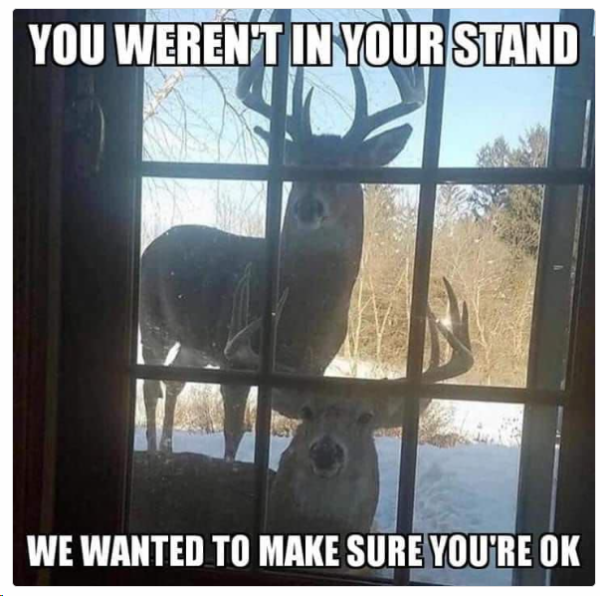 1703939753711.png