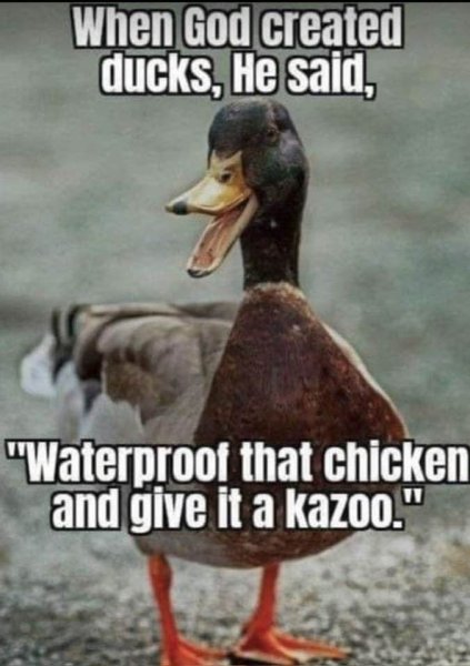1703973690234.jpeg