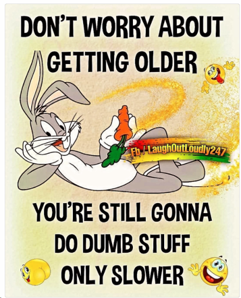 1704195219653.png