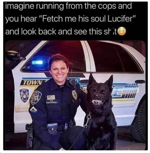 1704281531728.png