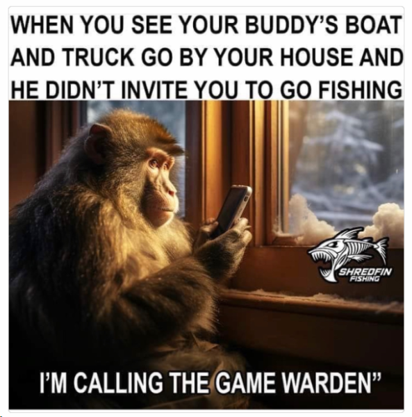 1704365133380.png