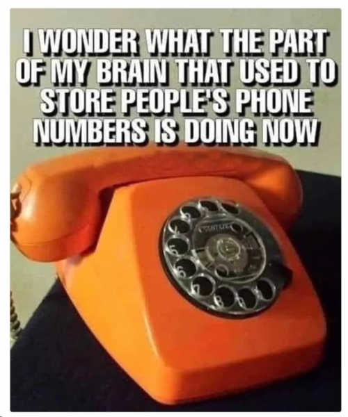 1704449203332.png