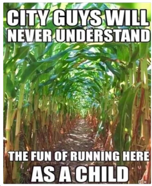 1704541255175.png