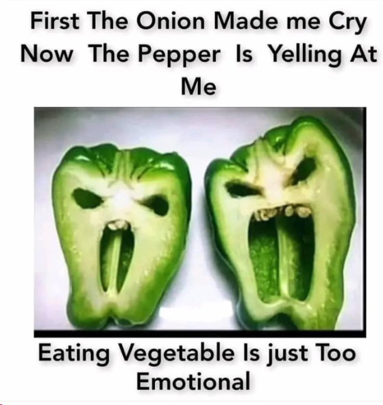1704765566546.png