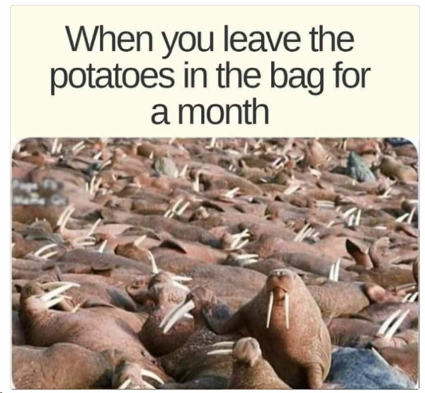 1704838932339.png