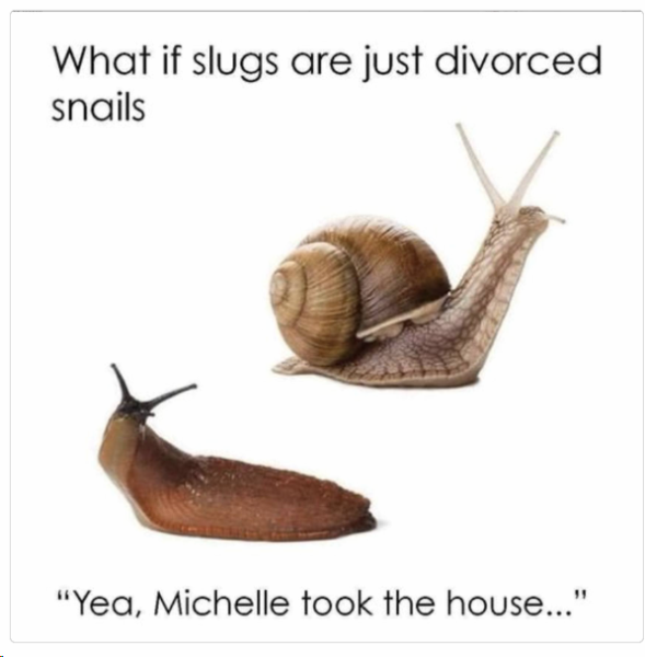 1704839209599.png