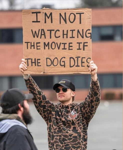 1704844597817.png
