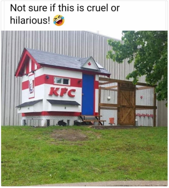 1704911038142.png