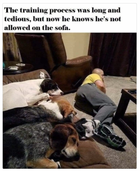 1705231445887.png