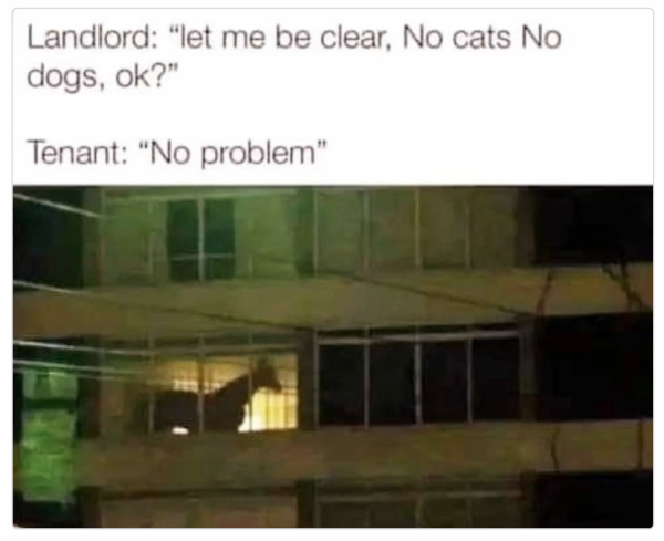 1705318908693.png