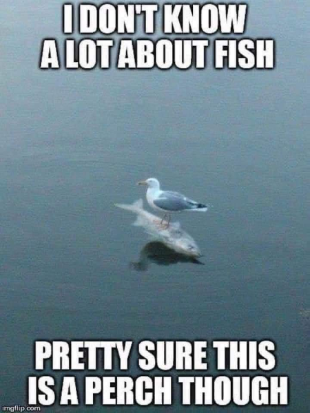 1705574965819.png