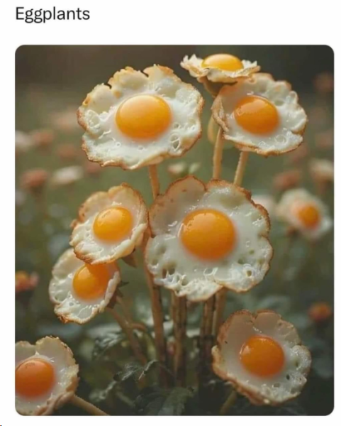 1705751717951.png
