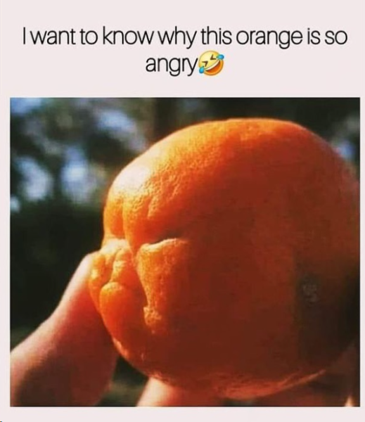 1705751819544.png