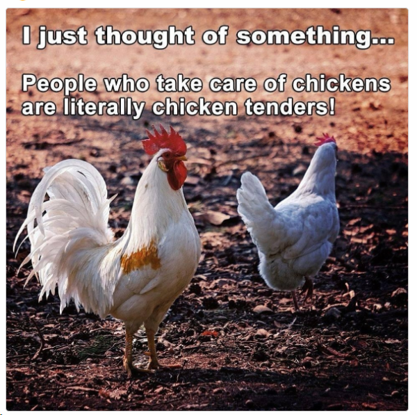 1705835927647.png