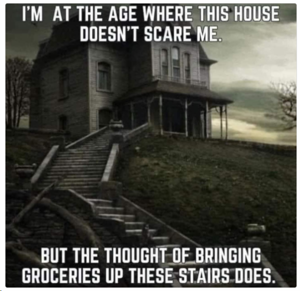 1706009419869.png
