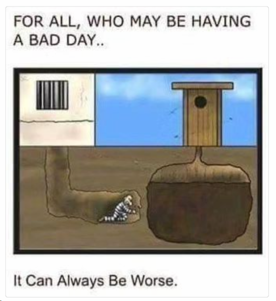 1706523714686.png