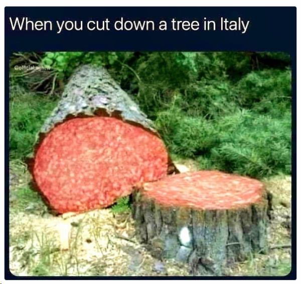 1706789298777.png