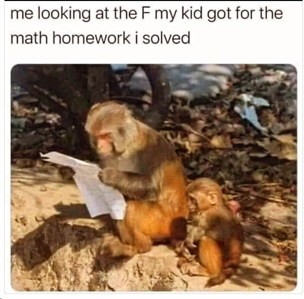 1706956498062.png