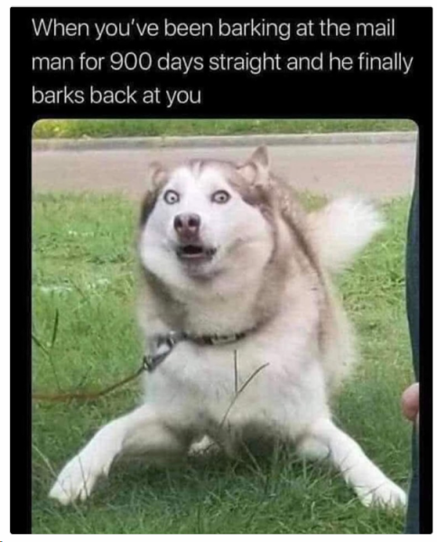 1707216982847.png