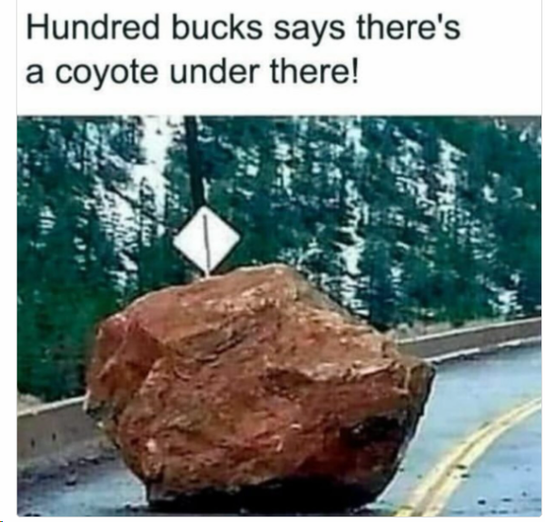 1707565865015.png