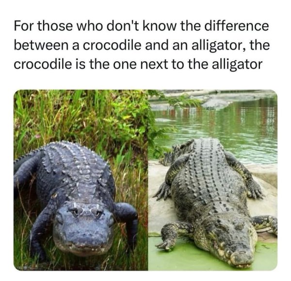 1707695803938.jpeg