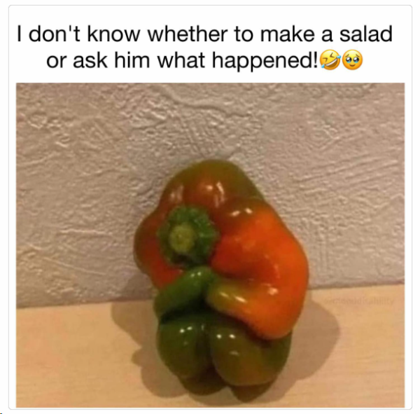 1708167244945.png