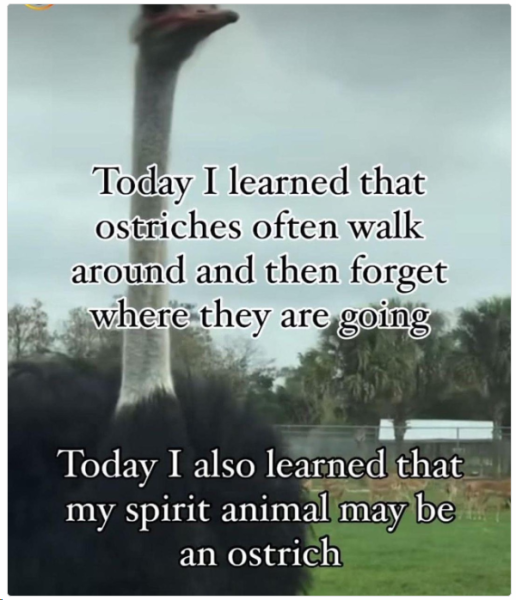 1708340455058.png