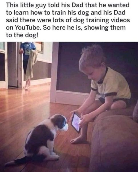 1708545283236.jpeg