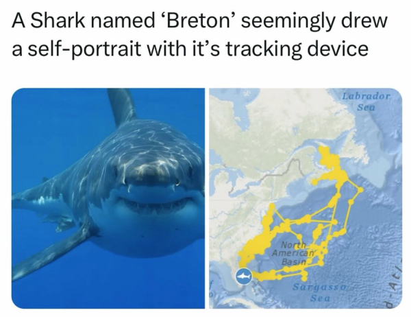 1708949234812.png