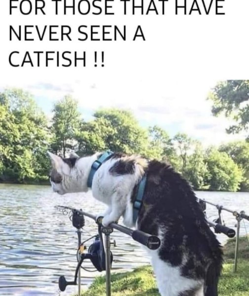1709417668087.jpeg