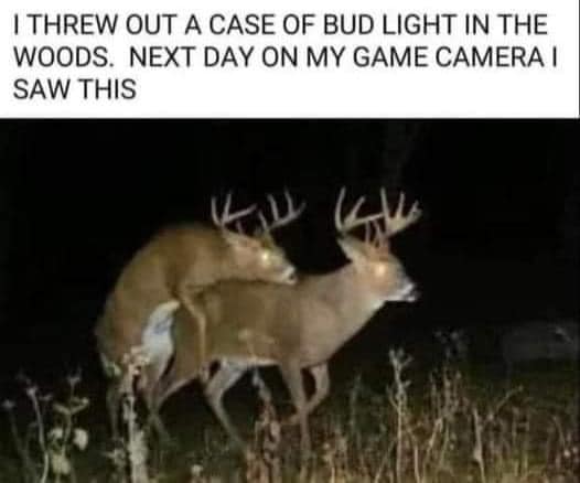 1709511033990.jpeg