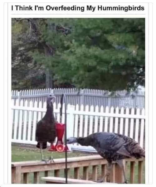 1709549656313.png