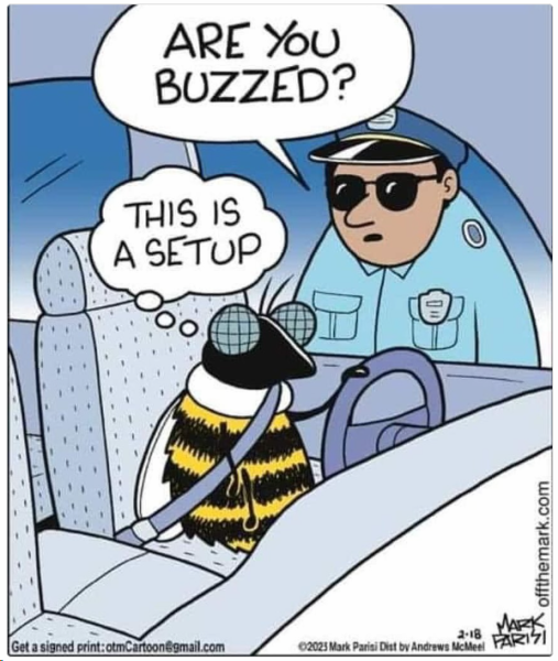 1709894770109.png