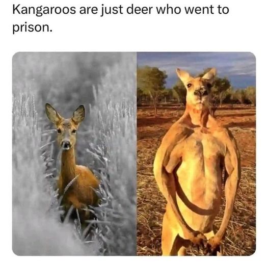 1709928105647.jpeg