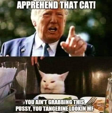 1710116956670.jpeg