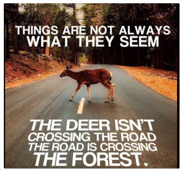 1710669511763.png
