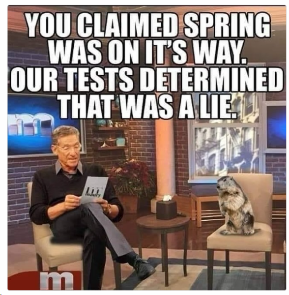 1711278299044.png
