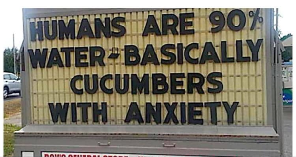 1711503613663.png